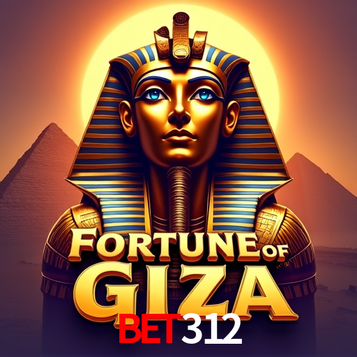 bet312.com